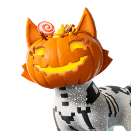 Jack-O'-Cat